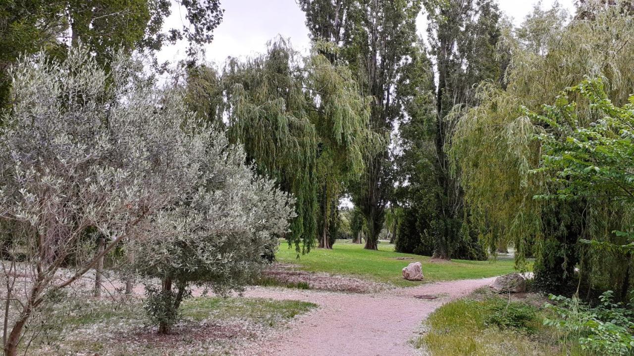 Studio 24 M2 - Hameaux De Camargue - Village 9 - 13200 Arles Exteriér fotografie